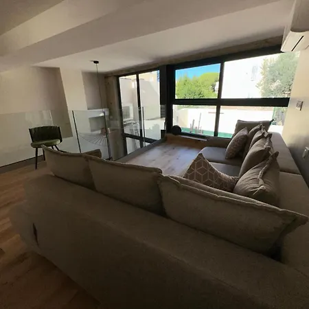 Διαμέρισμα Duplex Terrace Parking Near Palais &